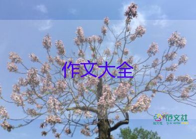 成功的花作文精选6篇