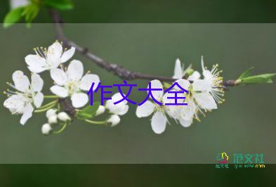 2022阳光初中作文精选优秀范文五篇