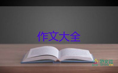 关于字的作文500字作文模板8篇