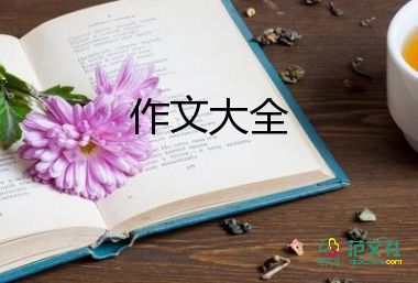 作文《温暖》400字8篇