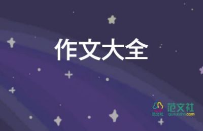 心中的光作文600字5篇