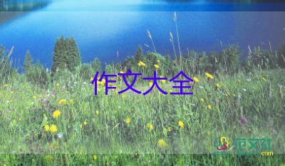 勇于尝试作文800字8篇