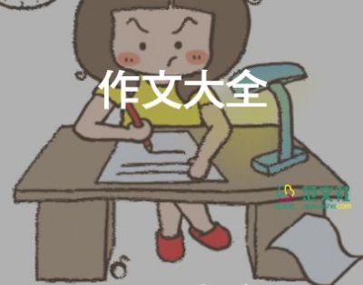 镜子作文500字8篇