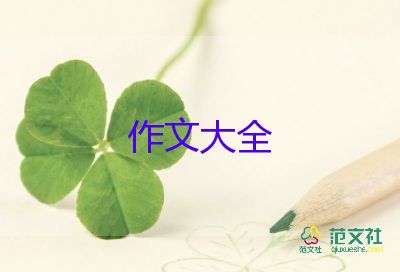 家乡的夜晚作文5篇