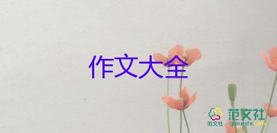 我想作文600字6篇