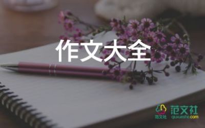 中国的春节作文优质5篇