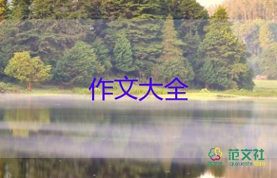 我的手作文200字优质5篇