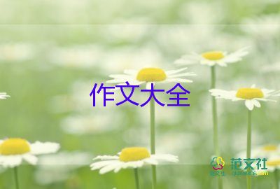 春节民俗民风作文模板8篇