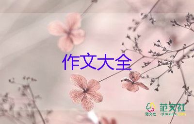 数字2的作文5篇