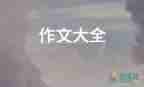 写老师的作文600字优质8篇