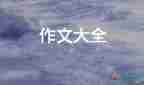 生活需要勇气作文500字8篇