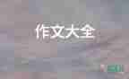 写教师的作文600字最新6篇